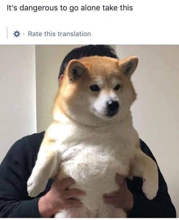 This meme features a viral photo of a large tan-and-white Shiba Inu held directly toward the viewer by a person standing behind it. The iconic video game phrase 'It's dangerous to go alone take this' is displayed at the top of the image, with an extra 'Rate this translation' line below that mimics Google Translate UI for additional internet humor. The joke replaces the original sword item from *The Legend of Zelda* with a full-sized Shiba Inu, given to the viewer to protect them on their journey, leaning into wholesome, cute dog humor.