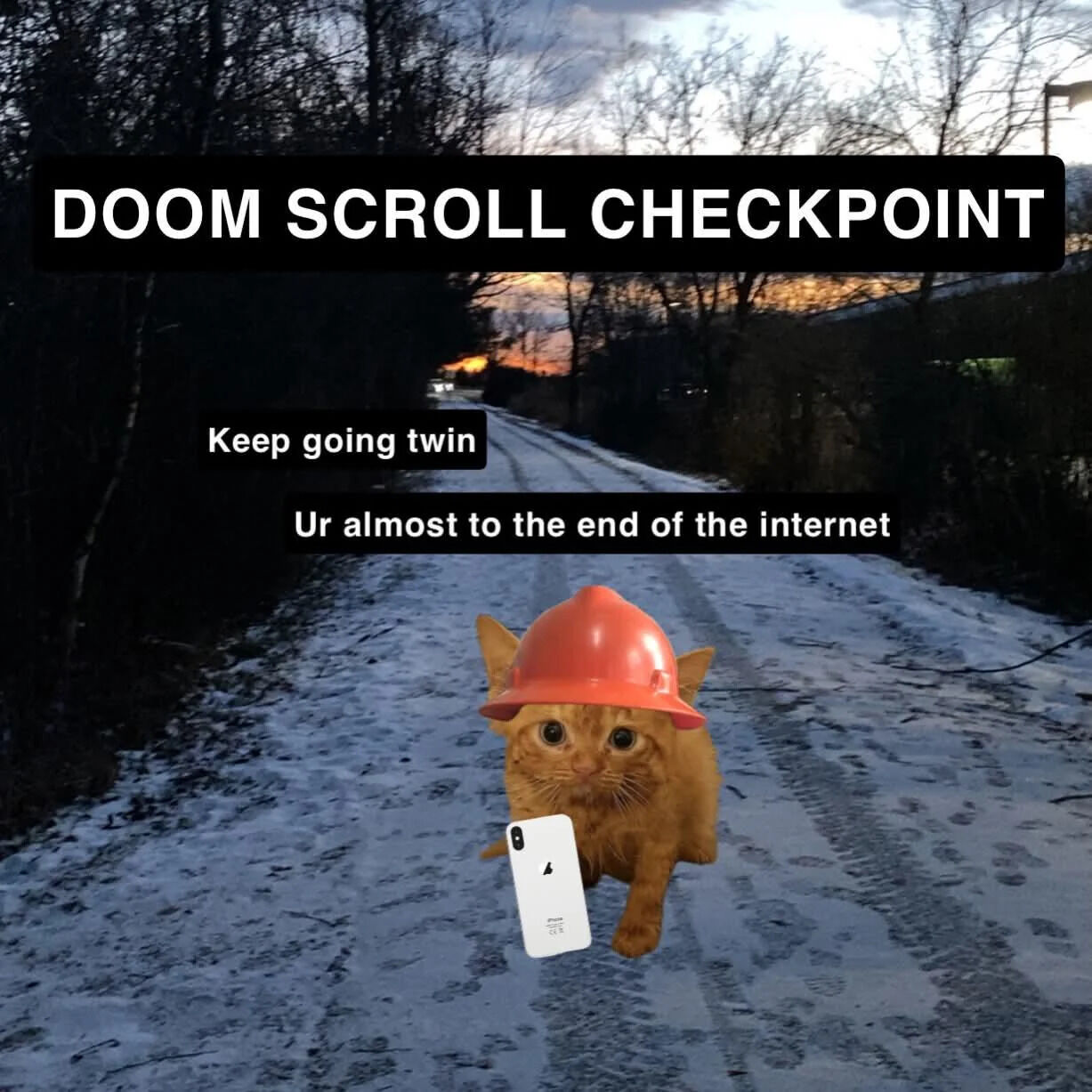 A meme featuring a scenic background of a snowy road at sunset, with a digitally edited orange cat wearing an orange hard hat and holding a white smartphone. The top text reads 'DOOM SCROLL CHECKPOINT' in bold black letters, while additional text overlays below state 'Keep going twin' and 'Ur almost to the end of the internet'. The image humorously frames 'doom scrolling' (endlessly scrolling through online content) as a journey, with the anthropomorphized cat serving as an encouraging guide, blending lighthearted humor with a wholesome tone to motivate the viewer.