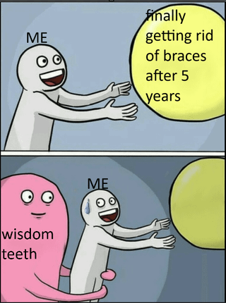 A two-panel comic meme. The top panel features a white stick figure labeled "ME" with a happy expression, arms outstretched, and a speech bubble saying "finally getting rid of braces after 5 years". The bottom panel shows the same stick figure now sweating, with a pink blob labeled "wisdom teeth" hugging them from behind, creating a humorous contrast between the relief of losing braces and the new dental challenge of wisdom teeth.