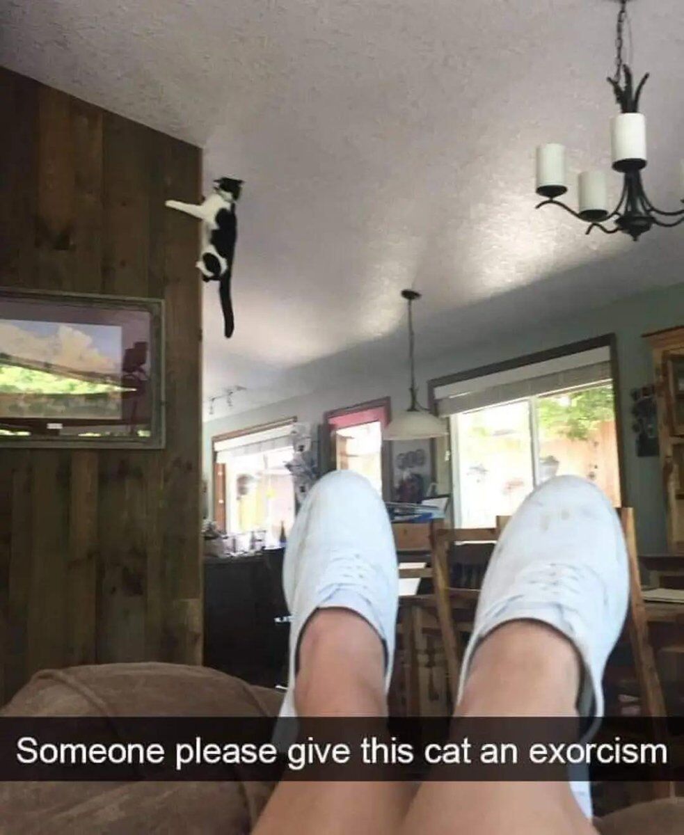 The image is taken from a first-person perspective, showing the photographer's feet in white sneakers propped up as they relax on a couch in a cozy domestic living room. To the left, a black and white cat is clinging perfectly vertically to the flat surface of a tall wooden wall panel, holding a position that looks almost gravity-defying and unnatural. The text caption at the bottom jokes that the cat needs an exorcism, playing on how supernatural its odd climbing pose appears.