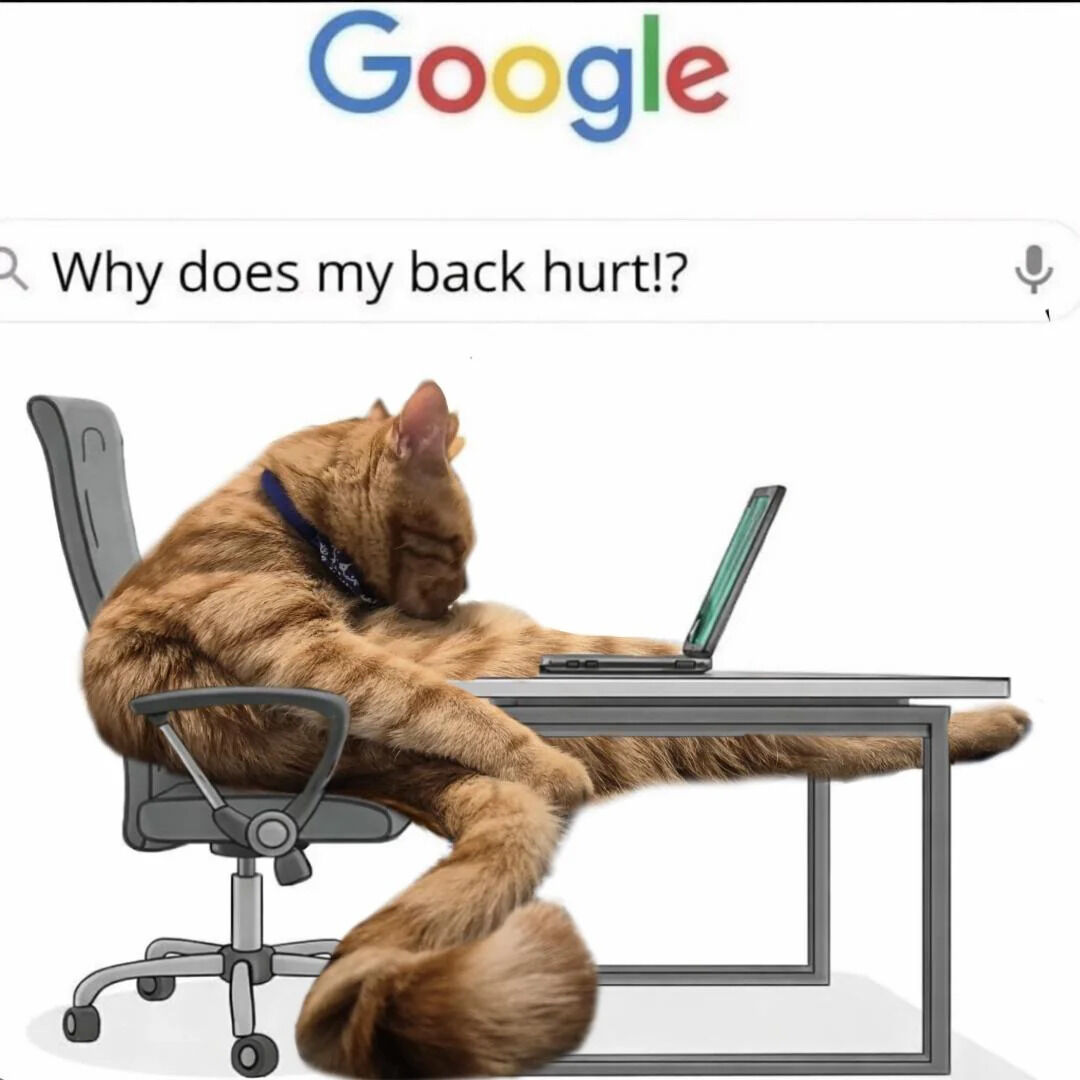 This is a relatable comedy meme that places a large real orange tabby cat into an illustrated office desk scene. The cat is sitting in an extremely poor, strained slouched posture stretched across the chair and desk while using a small laptop. Above the scene, the Google logo is displayed with a search query that reads "Why does my back hurt!?", creating an obvious joke: the cat's own terrible sitting posture is the direct cause of his back pain, which he does not realize. This meme resonates with people who work at desks and suffer from back pain due to bad sitting habits.