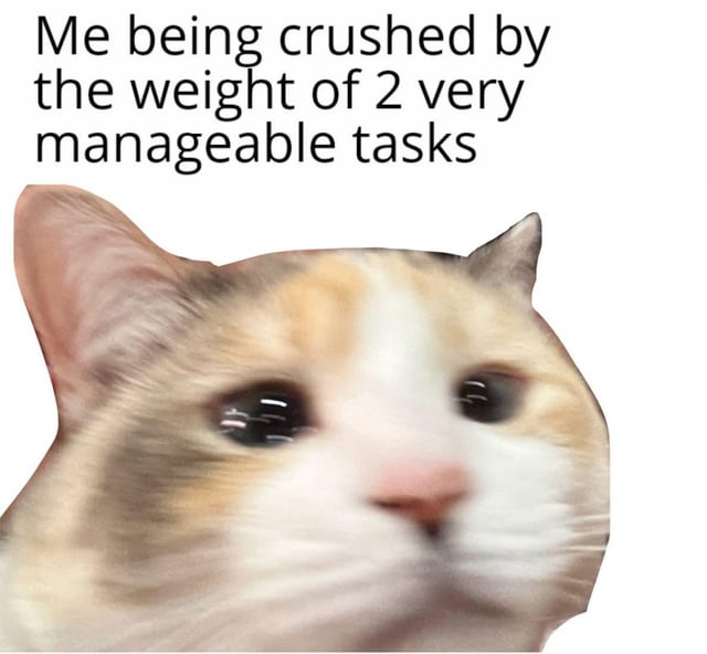 A meme featuring a close-up image of a cat with a blurred, slightly distressed facial expression. The cat has a calico coat with white, orange, and light brown fur. Above the cat's head, black text reads: 'Me being crushed by the weight of 2 very manageable tasks'. The plain white background emphasizes the cat and text. The humor stems from the relatable scenario of feeling disproportionately overwhelmed by small, manageable tasks, contrasted with the cat's expressive face conveying stress despite the triviality of the tasks.