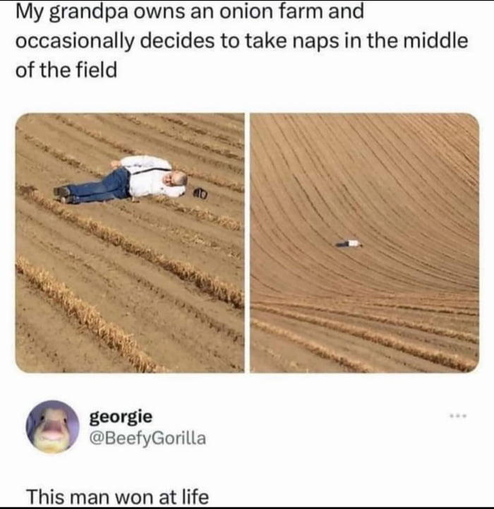 A two-panel meme featuring a grandpa who owns an onion farm. The top text reads, 'My grandpa owns an onion farm and occasionally decides to take naps in the middle of the field.' The left panel shows the grandpa lying relaxed on the dirt field, wearing a white shirt and blue jeans, with a hat beside him. The right panel, taken from a farther perspective, shows the grandpa as a tiny figure in the vast, furrowed onion field. Below the panels is a screenshot of a Twitter/X post by user 'georgie' (@BeefyGorilla) with the caption, 'This man won at life,' celebrating the grandpa's laid-back lifestyle.