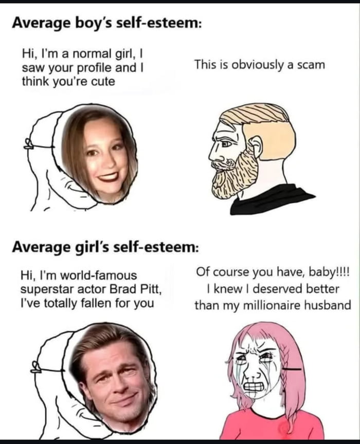 A two-panel meme comparing 'Average boy’s self-esteem' and 'Average girl’s self-esteem' through satirical dialogue and character depictions. The top panel (boy’s self-esteem) shows a circular image of a smiling girl with the text: 'Hi, I'm a normal girl, I saw your profile and I think you're cute,' paired with a drawn bearded boy with blonde hair responding: 'This is obviously a scam.' The bottom panel (girl’s self-esteem) features a circular image of Brad Pitt with the text: 'Hi, I'm world-famous superstar actor Brad Pitt, I've totally fallen for you,' alongside a drawn pink-haired girl exclaiming: 'Of course you have, baby!!!! I knew I deserved better than my millionaire husband.' The meme uses humor to exaggerate self-esteem differences between genders.