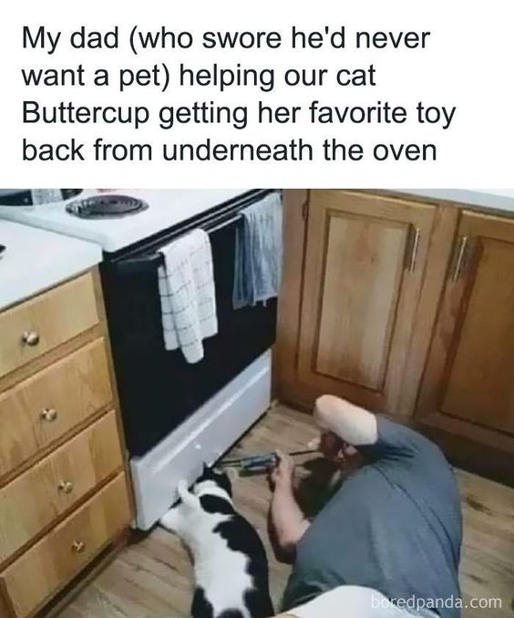 A meme consisting of a top text overlay and a real-life photograph. The text reads: 'My dad (who swore he'd never want a pet) helping our cat Buttercup getting her favorite toy back from underneath the oven.' The photograph depicts a man kneeling on a wooden kitchen floor next to a black oven, using a tool (likely a screwdriver) to reach underneath the oven. A black and white cat stands nearby, facing the oven, seemingly watching the man. The kitchen features wooden cabinets, a white countertop, and a towel hanging on the oven door. A watermark 'boredpanda.com' is visible in the bottom right corner of the image.