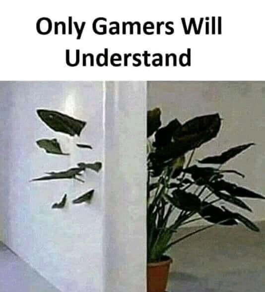 The meme has a top text caption reading 'Only Gamers Will Understand' above a photograph of a potted broadleaf houseplant placed next to a light-colored wall. The shadow cast by the plant's leaves onto the wall perfectly resembles the iconic default spray paint graffiti tag from the Counter-Strike video game franchise, a stylized abstract shape widely recognized by players of the series. The humor comes from the unexpected visual coincidence that only fans of the game will recognize, justifying the caption.
