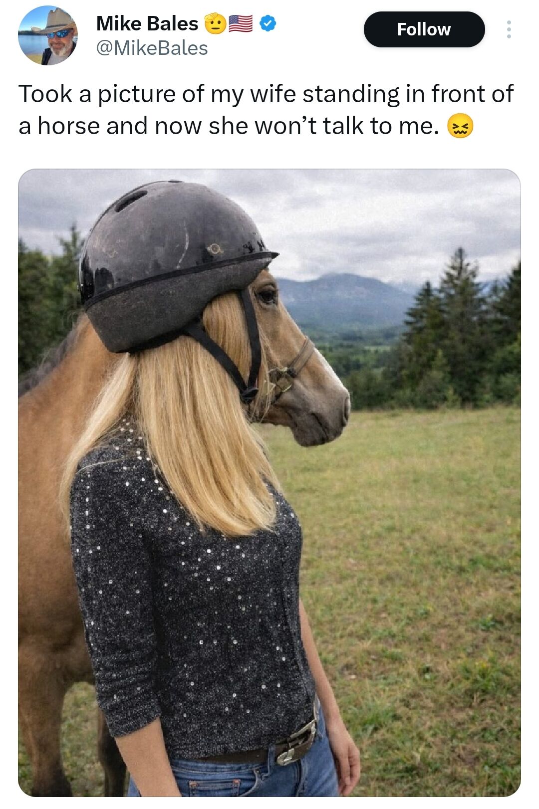 A humorous tweet featuring a photo where a perspective trick creates a comedic misunderstanding. The image shows a woman with long blonde hair, wearing a sparkly black top and blue jeans, standing next to a brown horse in a grassy field with mountains in the background. The horse is wearing a black riding helmet, positioned such that the angle makes it appear as if the helmet is on the woman's head, creating the illusion she is wearing the horse's helmet. The tweet text above the photo explains: 'Took a picture of my wife standing in front of a horse and now she won’t talk to me. 😬', highlighting the wife's likely annoyance at the accidental visual pun.
