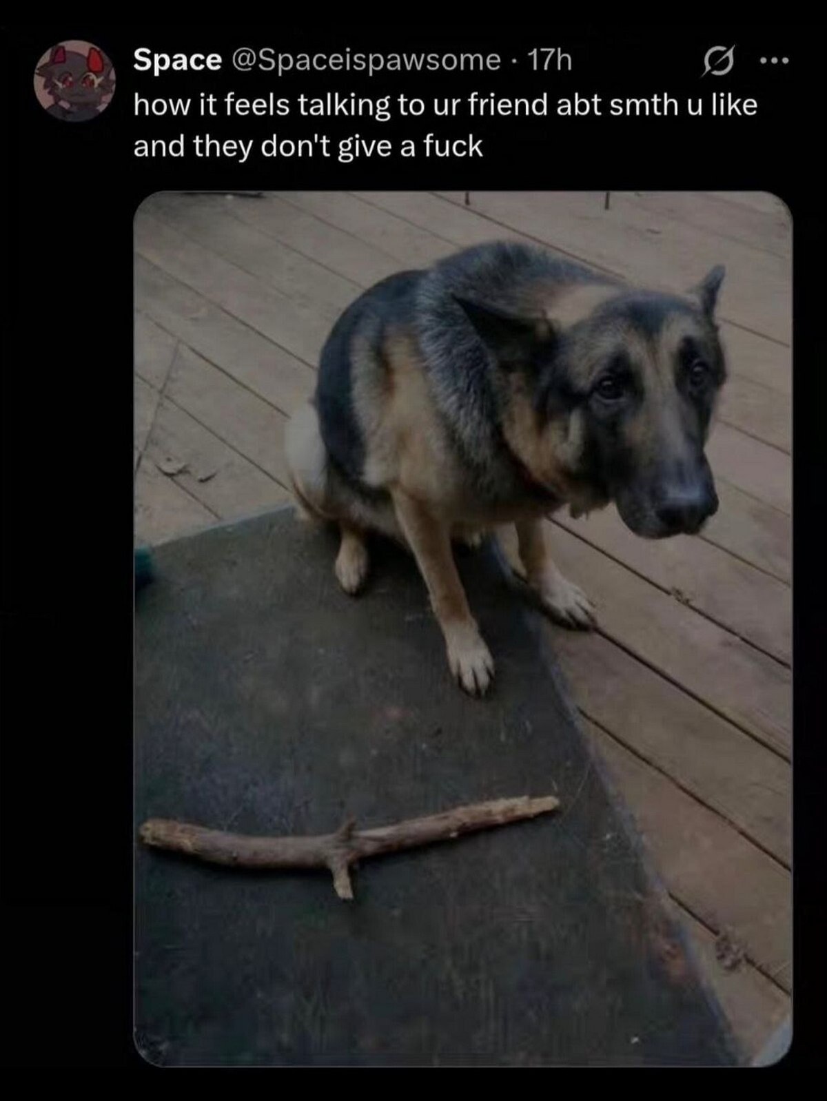 This is a screenshot of an X (formerly Twitter) post. The post text reads "how it feels talking to ur friend abt smth u like and they don't give a fuck". The attached image shows a dejected, sad-looking German Shepherd sitting on a wooden deck next to a small stick, staring forlornly off-camera as if it presented the stick (representing the topic the poster is enthusiastic about) to someone who completely ignored it, visually representing the relatable letdown of gushing about a hobby or interest to a friend who does not care about the topic.
