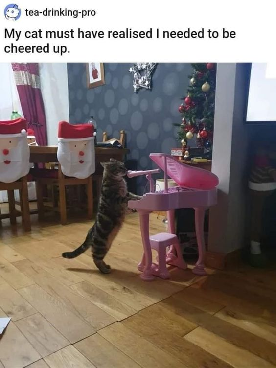 A heartwarming photograph capturing a tabby cat standing on its hind legs, front paws placed on a small pink toy piano in a Christmas-decorated room. The room features a decorated Christmas tree with red and gold ornaments, wooden dining chairs adorned with Santa Claus-themed covers, and a gray polka-dotted accent wall. Above the image, a post from user 'tea-drinking-pro' reads: 'My cat must have realised I needed to be cheered up,' framing the scene as a wholesome attempt by the cat to comfort its owner.