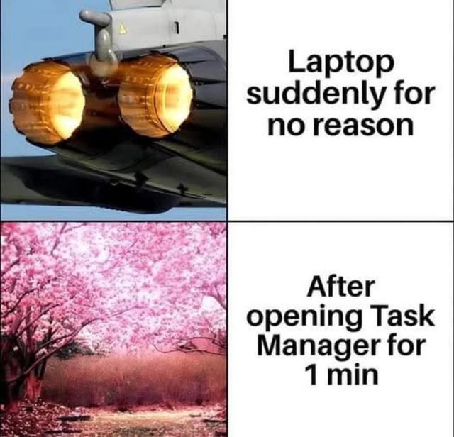 A 2x2 grid meme contrasting two scenarios. Top-left: Close-up of airplane jet engines emitting bright flames, symbolizing a laptop suddenly acting up. Top-right text: 'Laptop suddenly for no reason' (describing unexpected laptop issues like overheating or lag). Bottom-left: Serene scene of blooming cherry blossoms, representing a calm state. Bottom-right text: 'After opening Task Manager for 1 min' (implying Task Manager resolved the laptop's problems by closing background processes). The humor lies in the夸张 contrast between the chaotic jet engines (laptop malfunctioning) and the peaceful cherry blossoms (post-Task Manager calm), making light of relatable tech frustrations.