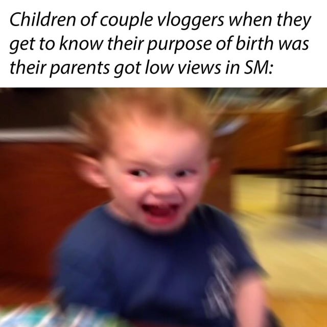 This meme consists of top explanatory text followed by a popular blurry reaction image. The top text describes the scenario: children of couple vloggers finding out they were born only because their parents had low social media views. The image below is a heavily motion-blurred shot of a young toddler with a shocked, screaming, horrified expression, meant to represent the extreme negative reaction of these children to the revelation. The joke satirizes the common trend of family vloggers and influencer couples exploiting their children as clickbait content to boost their online views and engagement.