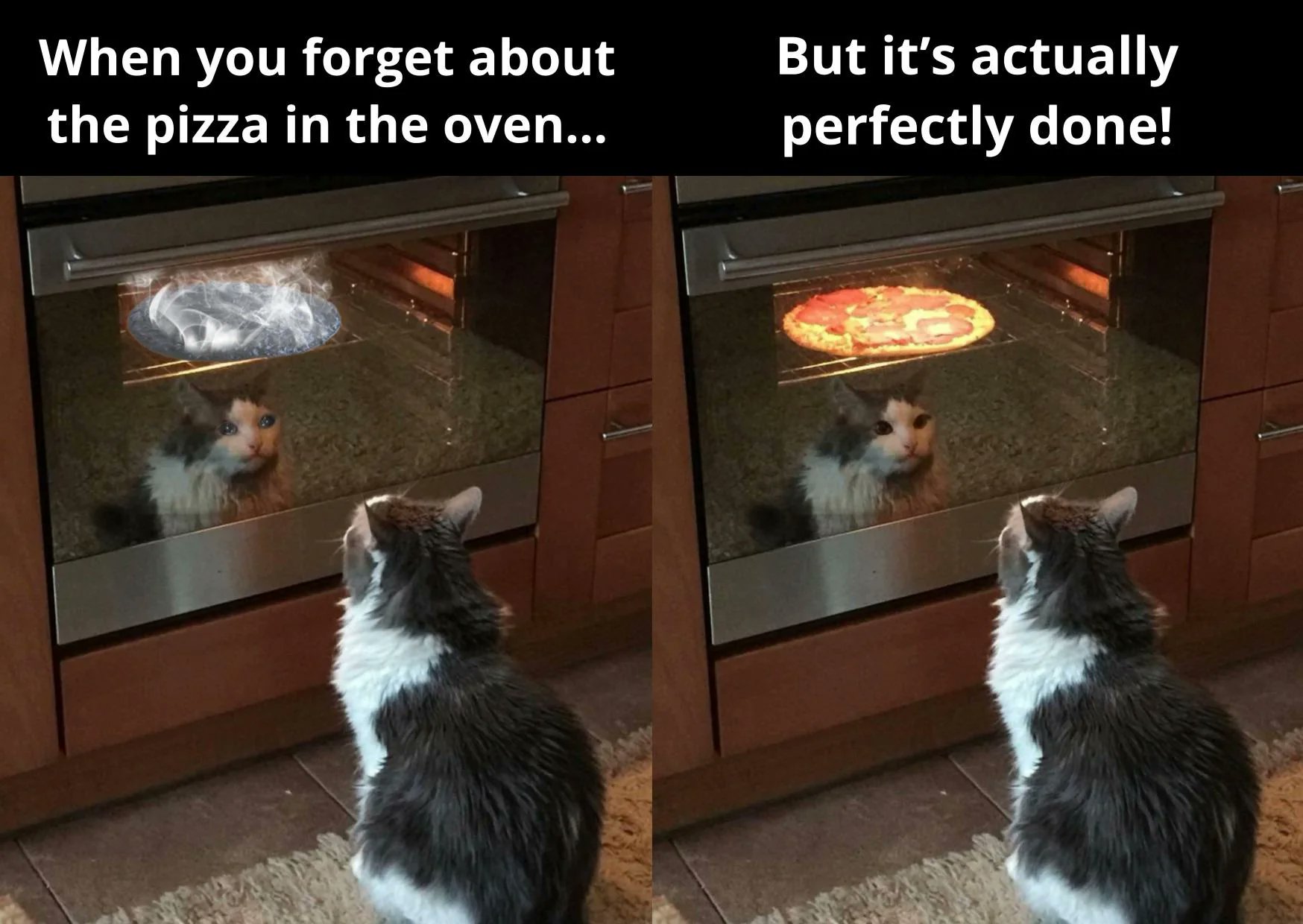 This is a two-panel relatable meme. The left panel has text reading 'When you forget about the pizza in the oven...' above an image of a grey and white cat sitting on the floor facing an oven, looking at its own reflection and a smoking, burnt pizza inside the oven, with the cat's reflection edited to have a shocked, worried expression. The right panel has text reading 'But it's actually perfectly done!' above the same cat looking into the oven, where the pizza is now golden and properly cooked, and the cat's reflection has a calm, pleased expression. The joke plays on the common relatable experience of panicking that you ruined food you left cooking, only to be happily surprised it turned out correctly, personified by the cat.
