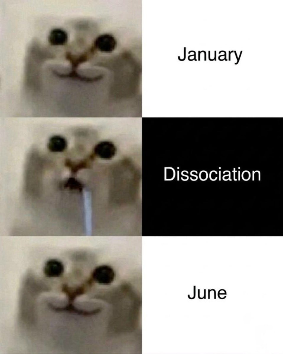 This is a 3-panel vertical meme using the popular blurry white dissociating cat template. The first panel shows the cat with a calm small smile next to the text 'January', representing a collected, calm start to the year. The middle panel shows the same cat with wide empty eyes, a drip of drool or tear running down its face, next to a black background with the text 'Dissociation', referring to the mental burnout, numbness, and disconnection many people experience as the year progresses between January and June. The final panel returns to the cat with the same calm smile as the first panel next to the text 'June', joking that people act completely fine and put on a neutral front after dissociating through the first half of the year.