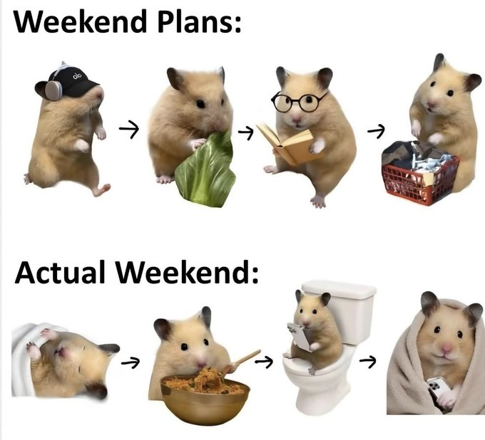 This meme is split into two sequential sections to show the common gap between ideal weekend plans and real-life weekend execution. The top section, labeled 'Weekend Plans:', features four edited hamsters connected by arrows, depicting productive planned activities: first, a hamster wearing a cap and headphones, implied to be going out for exercise or leisure; second, a hamster eating a healthy leafy green vegetable; third, a hamster wearing glasses reading a book; fourth, a hamster doing laundry. The bottom section, labeled 'Actual Weekend:', shows a contrasting sequence of four hamsters showing unproductive, lazy real weekend behavior: first, a hamster sleeping wrapped in a blanket; second, a hamster eating a large bowl of greasy junk food; third, a hamster scrolling on a mobile phone while sitting on a toilet; finally, a hamster wrapped in a blanket scrolling on a phone while resting. The joke relies on relatable lived experience for many young adults who often fail to follow through on ambitious weekend plans.