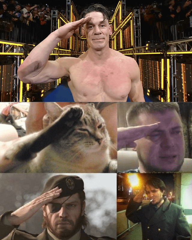 A collage featuring five distinct images of individuals and a cat performing a saluting gesture. The top image shows a shirtless wrestler saluting in a brightly lit arena with a crowd in the background. Below are four smaller images: a cat casually saluting with its paw, a man making an exaggerated salute, a character with an eyepatch (likely Solid Snake from Metal Gear) saluting, and another man in a dark uniform saluting while smoking. The collage humorously highlights the universal nature of the salute across different contexts.