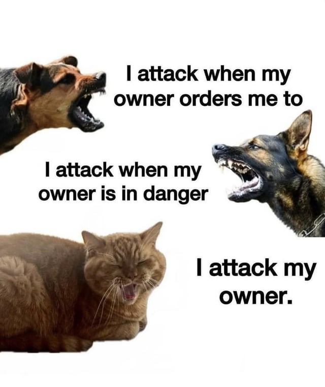A meme featuring three animals with contrasting text descriptions of their attack behavior. The top left shows a dog with its mouth open, snarling, accompanied by the text 'I attack when my owner orders me to'. The top right shows another dog baring its teeth, with the text 'I attack when my owner is in danger'. The bottom features a cat lying down with its mouth open, labeled 'I attack my owner.' The humor arises from the progression from loyal/protective behavior (dogs) to the cat's mischievous, unexpected aggression towards its owner.