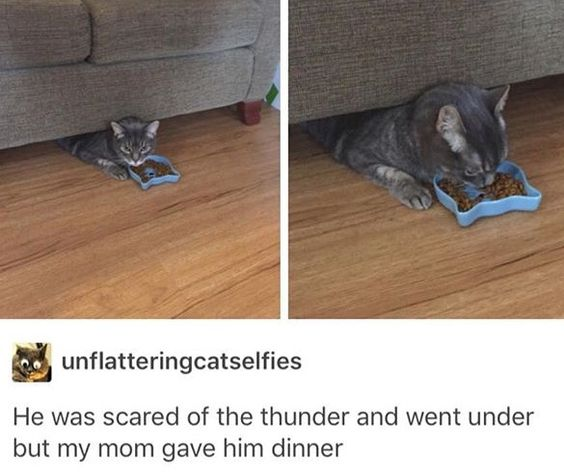 This two-panel meme features a real tabby cat hiding under a fabric couch on a wooden floor, frightened by thunder. In the first panel, the cat has an anxious expression, peeking out while eating from a small blue food bowl. In the second panel, the cat is fully focused on eating a larger portion of food in the same bowl, appearing more relaxed as it's comforted with its meal. The accompanying text explains the cat retreated under the couch due to thunder, and the poster's mom provided its dinner there to soothe it. The content is wholesome and relatable, highlighting a gentle, caring moment with a scared pet, with subtle humor in the cat's quick shift to focused eating once food is offered.
