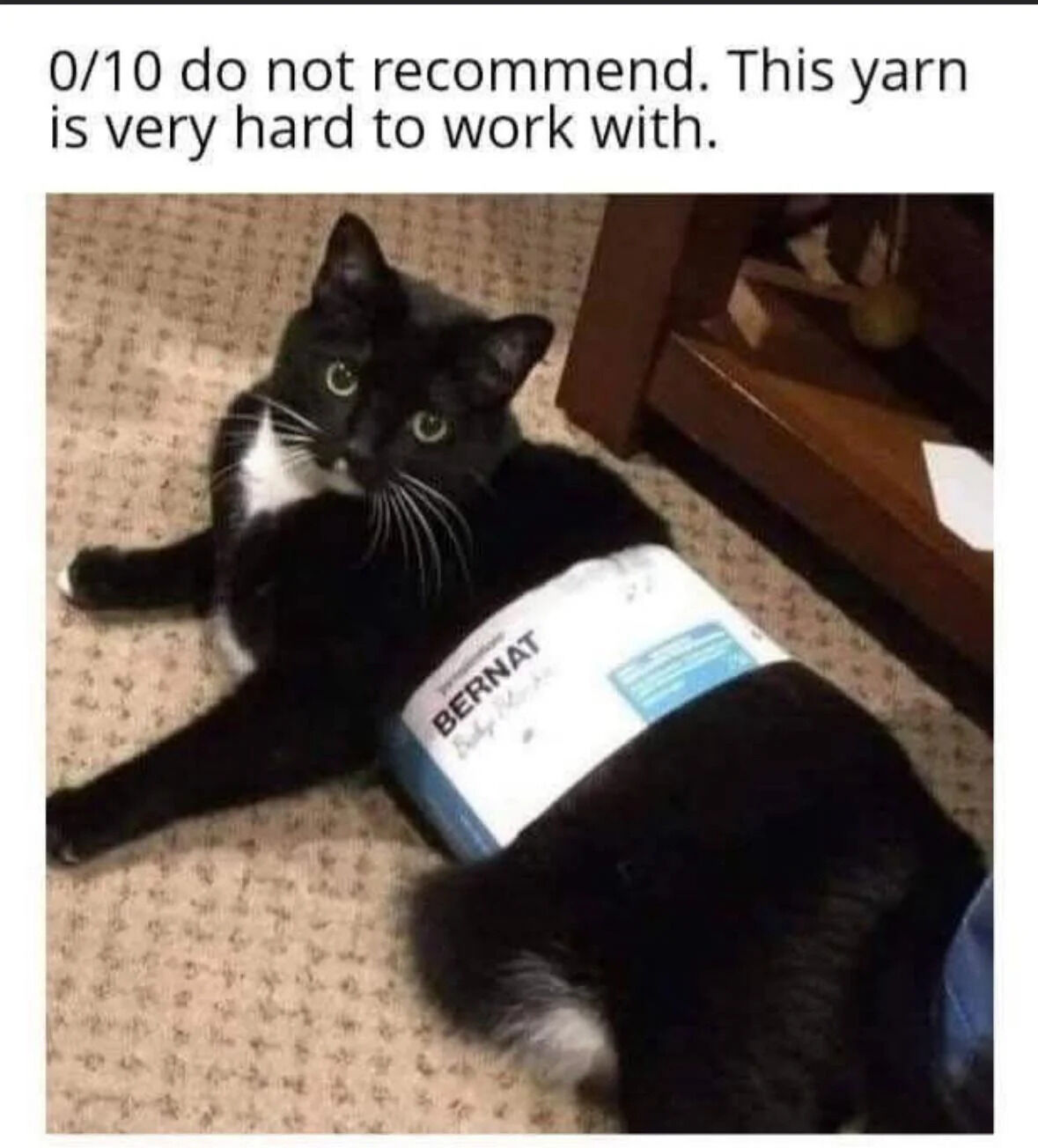 A meme featuring a top text review stating '0/10 do not recommend. This yarn is very hard to work with.' Below the text is a photograph of a black cat with white chest and whiskers lying on a beige carpet. The cat has a spool of BERNAT yarn wrapped around its midsection, looking directly at the camera with wide green eyes, creating a humorous contrast between the 'review' and the cat's entangled situation.