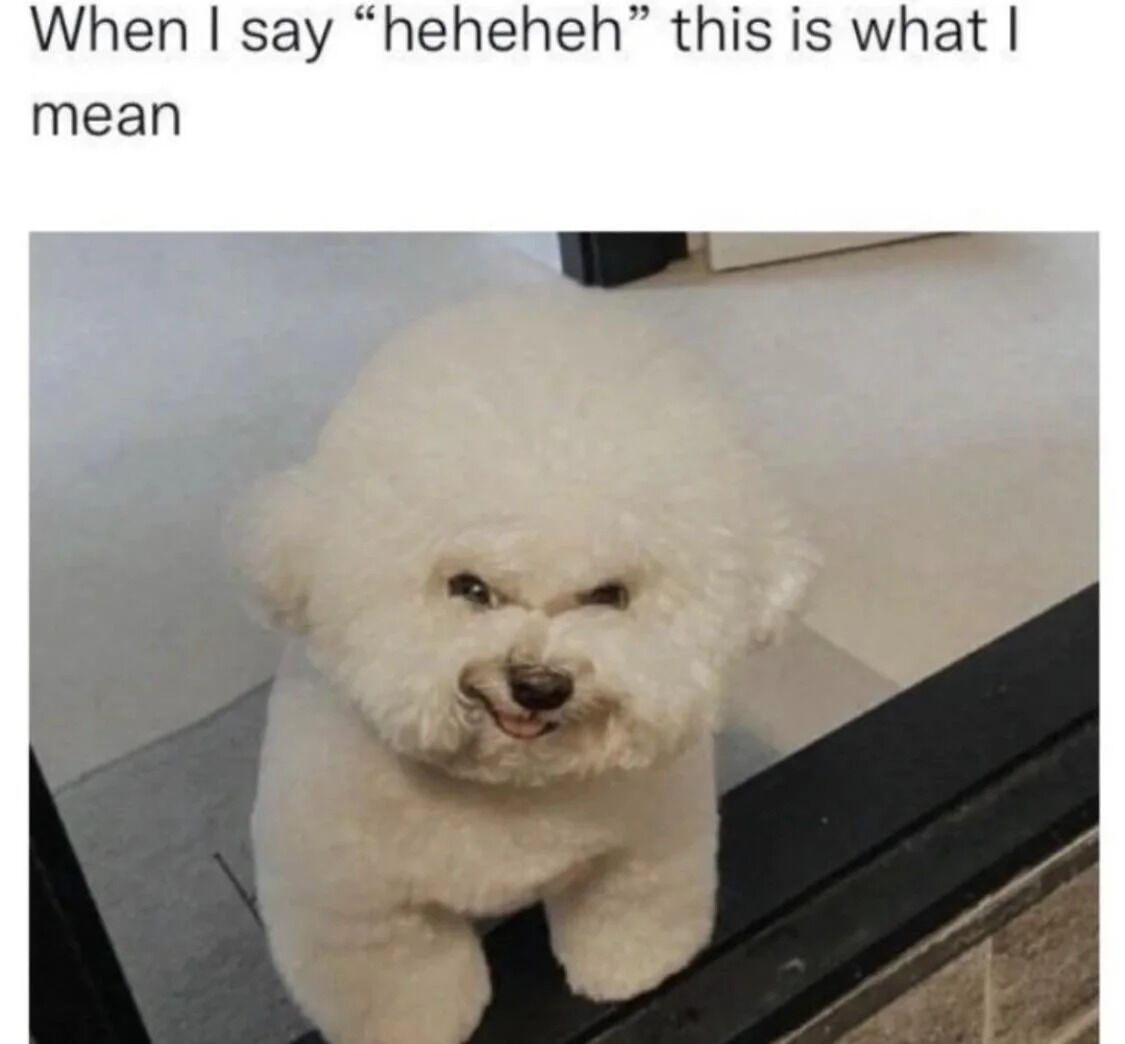A meme featuring a top text 'When I say "heheheh" this is what I mean' above a photograph of a small white dog (likely a Bichon Frise) with a mischievous expression. The dog has a fluffy white coat, squinted eyes, and an open mouth that resembles a playful grin, effectively conveying the playful or teasing tone of the phrase 'heheheh'.