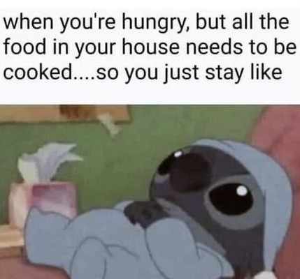 The meme features top text that reads 'when you're hungry, but all the food in your house needs to be cooked....so you just stay like', followed by an image of a 3D animated pigeon lying limp on a couch with a blank, unmotivated expression. It conveys the very relatable feeling of being too lazy to put in the effort to cook even when you are hungry, so you choose to remain inactive instead of preparing food.