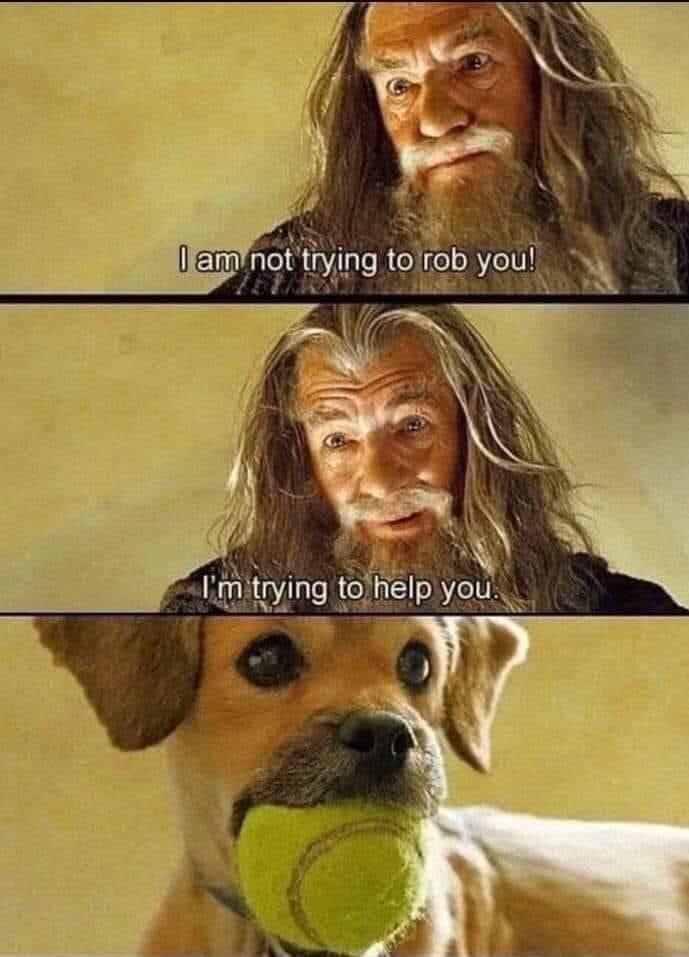 This is a 3-panel comedy meme. The first two panels feature the character Gandalf from *The Lord of the Rings* film series: in the first panel, he wears a serious, earnest expression with the overlaid text 'I am not trying to rob you!'. In the second panel, his expression softens to a gentle, persuasive look, paired with the text 'I'm trying to help you.'. The third panel cuts to a photo of a yellow Labrador retriever holding a tennis ball in its mouth, staring directly forward with a blank, untrusting expression. The humor comes from the relatable pet owner scenario: dogs usually interpret any attempt to take their favorite toy as theft, regardless of the owner's stated intent to help, such as taking the ball before it is damaged or swallowed.