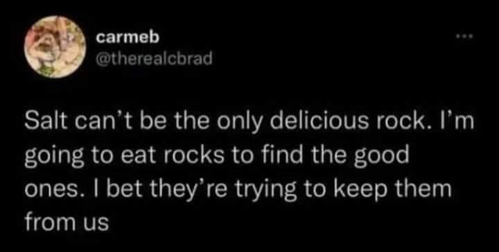 This is a dark mode screenshot of a public X (formerly Twitter) post. The post author has a low-resolution cat profile picture, display name 'carmeb', and handle @therealcbrad. The tweet text humorously notes that salt, a commonly consumed mineral classified as a type of rock, is delicious, then makes an absurd, comedic logical leap: it claims there must be other tasty rocks that are being hidden from the public, and states the author intends to eat rocks to find these good ones. The joke leans into the relatable experience of having random chaotic intrusive thoughts when considering how odd it is that humans consume salt, a rock, as seasoning.