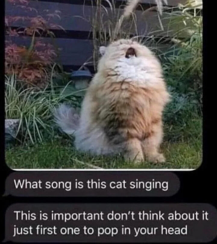 A fluffy, light-colored cat sits on green grass in a garden setting, surrounded by various plants and foliage. The cat is positioned with its head tilted upward and mouth open, creating the humorous illusion that it is singing. Below the image, two text bubbles appear: the first reads 'What song is this cat singing' and the second follows with 'This is important don't think about it just first one to pop in your head,' prompting viewers to immediately guess the song that comes to mind based on the cat's posture.