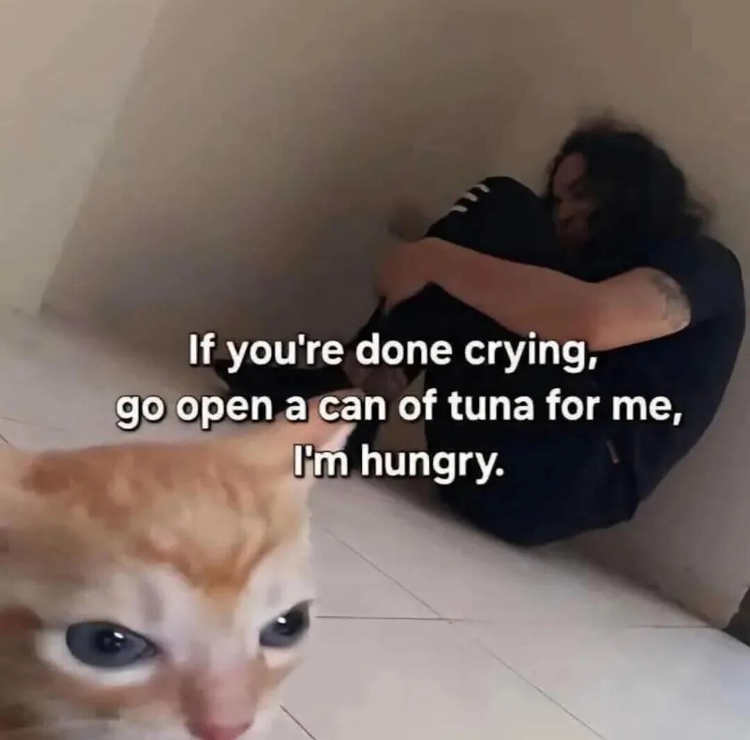 A meme image featuring a person sitting on the floor in a corner, appearing to be upset with their arms wrapped around their knees, suggesting they might be crying. In the foreground, there is a close-up of an orange cat with striking blue eyes. Overlaid white text on the image, framed as the cat's dialogue, reads: 'If you're done crying, go open a can of tuna for me, I'm hungry.' The humor arises from the cat's blunt, self-interested request juxtaposed against the person's apparent emotional distress, creating a lighthearted, wholesome tone that playfully highlights the typical self-centered yet endearing nature of pets.