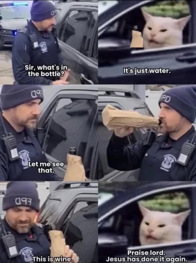 A multi-panel meme depicting a humorous interaction between a police officer and a white cat. The officer, wearing a dark uniform and cap labeled 'FPD', approaches a car window where the cat is holding a bottle wrapped in a paper bag. The officer asks, 'Sir, what's in the bottle?', and the cat responds, 'It's just water.' The officer takes the bottle, drinks from it, and exclaims, 'This is wine.' The final panel shows the cat looking triumphant, saying, 'Praise lord. Jesus has done it again.' The meme uses a real police officer image combined with an animated cat image to create a funny, ironic scenario about lying and unexpected outcomes.
