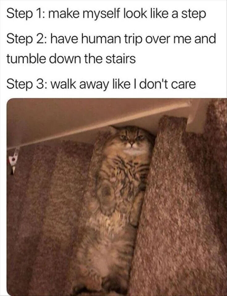 This image macro meme features text at the top describing a three-step prank plan from a cat's perspective, with a photo of a real tabby cat below. The text lays out the plan: Step 1: make myself look like a step, Step 2: have human trip over me and tumble down the stairs, Step 3: walk away like I don't care. The photo shows the tabby cat perfectly squeezed vertically into the gap between two carpeted stair steps, matching the plan's first step perfectly, playing on the common joke that house cats are sneaky and mischievous.