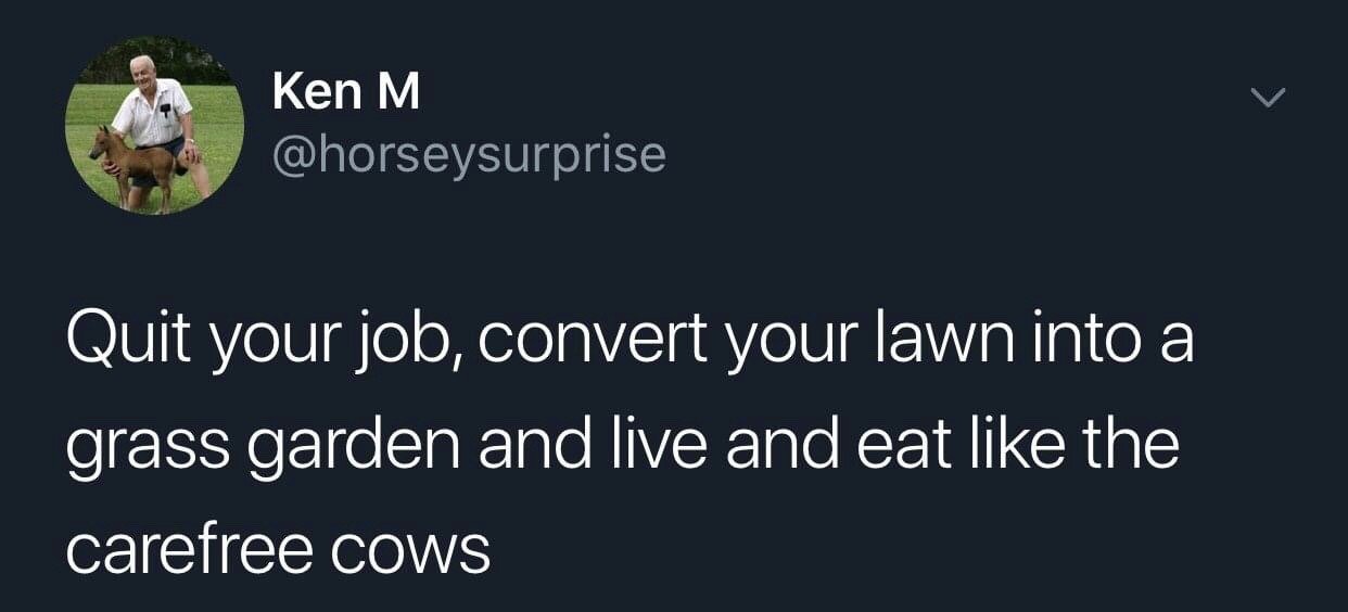 This image is a screenshot of a public X (formerly Twitter) post from infamous internet personality Ken M, whose handle is @horseysurprise. The account's profile picture shows a smiling older man kneeling on a green lawn while holding a small young foal. The text of the tweet delivers a silly, absurd suggestion for escaping the pressure of modern work: quit your job, convert your residential lawn into a grass garden, then live and eat grass the same way carefree cows do.