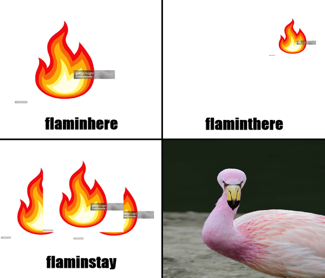 This is a 4-panel humorous meme built on a phonetic pun. The first three panels show cartoon fire illustrations paired with text below: the first panel has a large fire with text "flaminhere" (sounding like "flame in here"), the second has a small distant fire with text "flaminthere" (sounding like "flame in there"), the third has multiple fires with text "flaminstay" (sounding like "flame in stay"). The fourth panel delivers the punchline by showing a photograph of a pink flamingo, as the phrases in the first three panels are all near-homophones for the word "flamingo" when spoken casually.