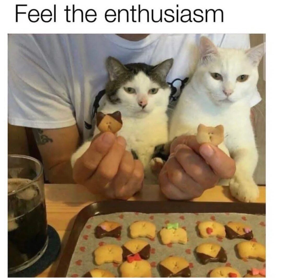 This meme shows a partially visible person holding two homemade cat-shaped cookies, with two real domestic cats sitting behind the person's hands that perfectly match the appearance of the cookies being held. Both real cats have deadpan, unimpressed, neutral expressions, which creates a funny contrast with the top text that reads "Feel the enthusiasm". On the table below, a full baking tray of additional cat-shaped cookies and a glass of dark soda are visible. The joke relies on the cute coincidence of the cats matching their cookie counterparts, with the lack of visible enthusiasm from the cats playing against the text prompt.
