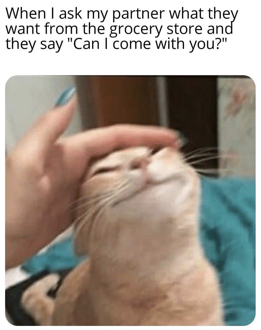 The meme features top text that reads 'When I ask my partner what they want from the grocery store and they say "Can I come with you?"'. Below the text is a photograph of a light orange tabby cat tilting its head back with its eyes closed, looking extremely content as a person's hand gently pets its forehead. The image conveys a warm, happy, soft reaction to a partner's sweet, affectionate request to accompany the user grocery shopping instead of just asking for items.