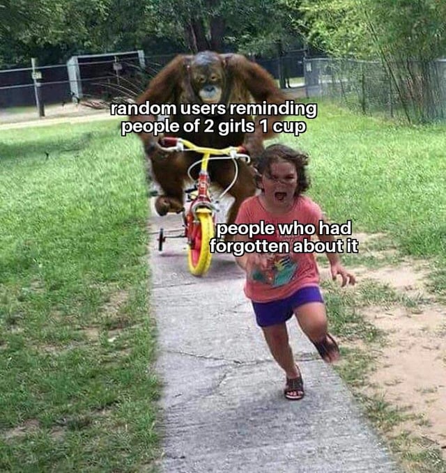 A meme featuring a photograph of a young child running frantically on a concrete sidewalk with a terrified expression, while an orangutan rides a small red and yellow tricycle in pursuit. The image includes two text overlays: one positioned over the orangutan reading 'random users reminding people of 2 girls 1 cup' and another over the child reading 'people who had forgotten about it.' The humor stems from the relatable scenario of internet users reviving memories of the infamous 2007 shock video '2 Girls 1 Cup,' with the child representing those who wish to forget the cringe-worthy content and the orangutan representing the persistent reminders.