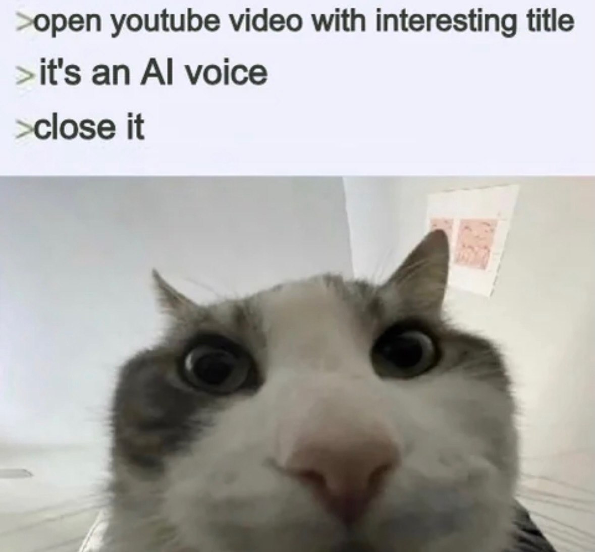 This is a relatable meme depicting a common modern internet experience. The top of the meme has text describing the sequence: you open a YouTube video that has an interesting title, you then discover the video uses an AI generated narrator voice, so you immediately close the video. Below the text is a close-up photo of a real grey and white cat with extremely wide, shocked staring eyes leaning directly into the camera, perfectly capturing the instant disappointment and annoyance many people feel when encountering AI-narrated YouTube content.