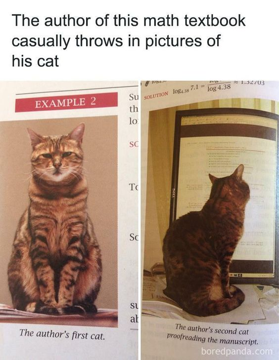This is a two-panel collage meme showcasing unexpected, wholesome additions to a math textbook. The top header text reads: "The author of this math textbook casually throws in pictures of his cat". 

The left panel is labeled "EXAMPLE 2" and features a tabby cat sitting upright with a neutral, slightly unimpressed expression, captioned below: "The author's first cat." This replaces what would typically be a formal math example graphic. 

The right panel is part of a math solution section (visible text includes "SOLUTION" and logarithmic equations) and shows a dark tabby cat sitting in front of a computer screen, facing away from the viewer, captioned: "The author's second cat proofreading the manuscript." 

The humor comes from the absurd, endearing contrast between the serious, formal tone of a math textbook and the playful, personal inclusion of the author's pets. It adds a relatable, warm touch to an otherwise dry educational resource, making the textbook feel more human and quirky.
