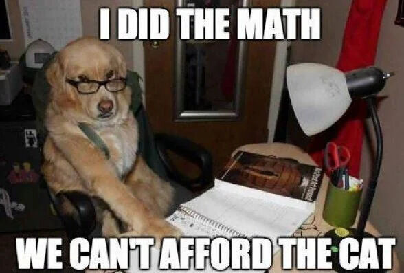 A humorous meme featuring a golden retriever dog wearing glasses, seated at a desk in a room. The desk is cluttered with a notebook, a book, a black desk lamp, and a green cup holding scissors. The dog has a serious, focused expression, mimicking a person reviewing financial documents. Bold white text at the top of the image reads 'I DID THE MATH' and at the bottom 'WE CAN'T AFFORD THE CAT', creating a joke about the dog calculating household finances and determining that a cat cannot be afforded.