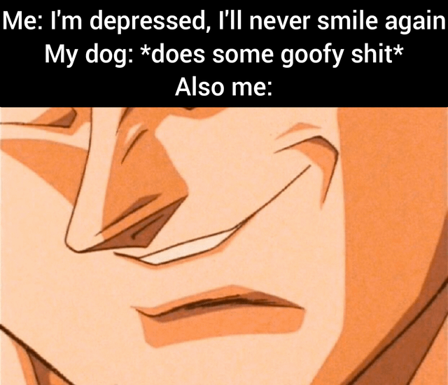 This relatable pet meme depicts a common experience: when someone feels depressed and says they will never smile again, their dog doing something silly instantly makes them crack a smile. The top text sets up the scenario, and the image below is a cropped close-up of a smiling anime character from JoJo's Bizarre Adventure that represents the poster's immediate mood change after seeing their dog's goofy behavior.