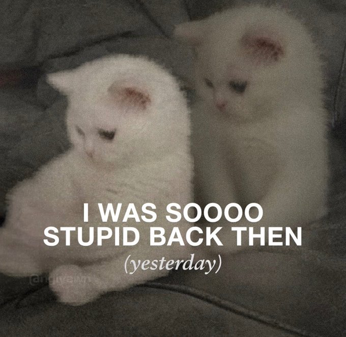 The image features two fluffy white kittens sitting side by side on a dark grey fabric couch, both with matching red bruise-like marks on their foreheads and wearing identical downcast, regretful expressions. Bold all-caps white text overlaid on the lower half of the image reads "I WAS SOOOO STUPID BACK THEN", with smaller italicized text below it clarifying "(yesterday)". The joke relies on relatable self-deprecating humor, using the kittens' matching injuries to imply they made a shared foolish decision the prior day that left them hurt and embarrassed, reflecting the common feeling of immediately regretting recent poor choices.