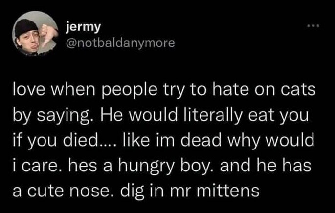This image is a screenshot of a public post from X (formerly Twitter). At the top left is the poster's profile picture of a young man wearing a black beanie making a thumbs-down gesture with a pouting, unimpressed expression, alongside his display name 'jermy' and handle '@notbaldanymore'. The main text of the post is a humorous defense of cats against people who criticize cats by claiming they would eat their owner if the owner died. The poster jokes that they would not care about this, as they would be dead, refers to the hypothetical cat as a hungry boy with a cute nose, and playfully tells the cat dubbed Mr. Mittens to go ahead and eat.