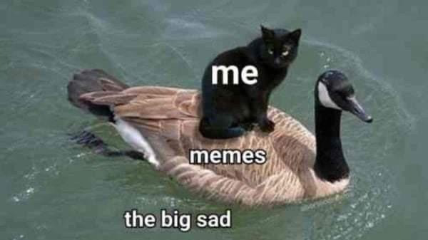 The meme features a photograph of a Canada goose swimming in open water, with a small black cat perched calmly on its back. Text labels are overlaid on each element: the cat is labeled 'me', the goose is labeled 'memes', and the water surrounding the goose is labeled 'the big sad'. The visual creates a relatable metaphor representing a person being supported and carried through periods of sadness or depression by consuming internet memes, staying above negative emotions thanks to humorous online content.