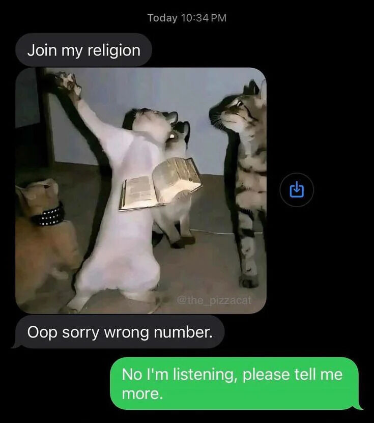 A meme formatted as a chat conversation. The top message reads 'Join my religion' above an image of a white cat standing upright on its hind legs, with a book (resembling a holy book) photoshopped onto its back, appearing to 'preach' to three other cats that look up at it. Below the image, a follow-up message reads 'Oop sorry wrong number,' creating a humorous mix-up where the cat seemingly sent a religious invitation to the wrong recipient.
