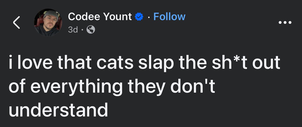 This is a dark mode screenshot of a public X (formerly Twitter) post from verified user Codee Yount. The post features a short, lighthearted humorous text observation about common cat behavior, reading "i love that cats slap the sh*t out of everything they don't understand", referencing the common cat habit of swatting at objects, animals, or people they are confused by or uncertain of. The X interface elements visible include the user's profile picture, blue verification badge, 3-day post timestamp, follow button, and standard X post navigation UI.
