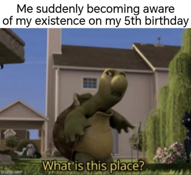 This is a relatable humorous meme featuring Verne the turtle from the 2006 DreamWorks animated film *Over the Hedge*. The top text sets up the joke by describing the common experience of people having their first coherent, conscious memories of self and surroundings at around 5 years old. The bottom text shows the confused, disoriented turtle asking 'What is this place?', which visually represents the bewildered feeling of suddenly gaining self-awareness as a young child. The background shows a suburban residential neighborhood, matching the original scene from the film.