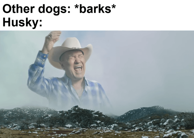 This meme humorously contrasts the typical bark of most dogs with the distinctive, loud, howl-like vocalizations of Huskies. The top text reads "Other dogs: *barks*", setting up the standard dog behavior, while "Husky:" is paired with a dramatic image of country artist Toby Keith yelling loudly with one arm raised (taken from his "Red Solo Cup" music video). The joke uses the over-the-top human yell as a visual analogy for the intense, non-traditional vocalizations Huskies are known for—playing on the relatable trait that Huskies often howl, whine, or make unique loud noises instead of short, standard barks, resonating with dog owners and pet lovers.