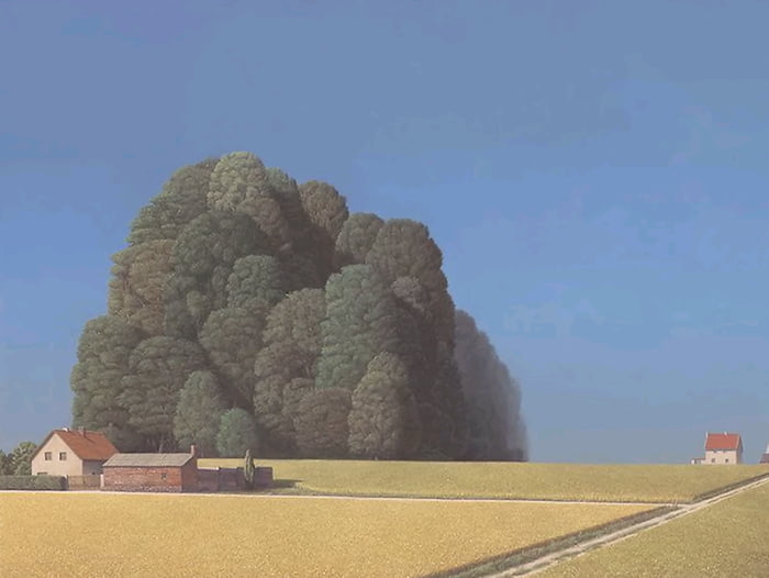 This image shows an open golden yellow farm field under a clear blue sky, with small residential farm buildings on the lower left and a small distant house on the right horizon. A massive dense cluster of enormous trees fills the left midground, and the arrangement of tree canopies and shadow gaps creates an optical illusion: the trees collectively form the shape of a large human face looking directly at the viewer. The original poster shared that they have recurring dreams of this exact type of landscape, and feel an unconscious sense of fear and danger when looking at the trees, which aligns with the uncanny hidden face subconsciously present in the image.