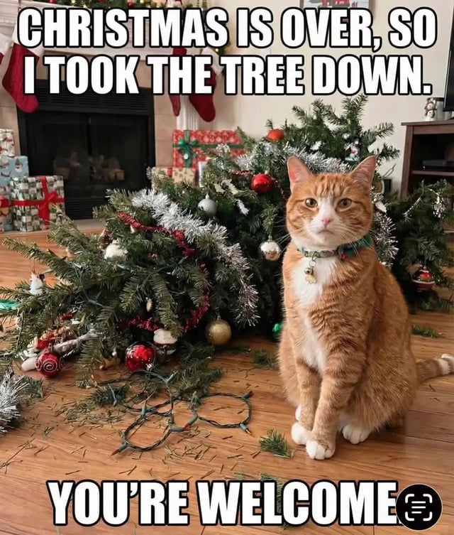 A meme featuring an orange and white cat sitting upright on a wooden floor next to a fallen Christmas tree. The tree is decorated with red and silver ornaments, tinsel, and lights, which are scattered around the floor along with pine needles. In the background, there are wrapped Christmas presents near a fireplace with red stocking hangers. The top text reads 'CHRISTMAS IS OVER, SO I TOOK THE TREE DOWN.' and the bottom text reads 'YOU'RE WELCOME', implying the cat is taking credit for knocking down the tree. The cat has a calm, proud expression, wearing a collar with a bell.