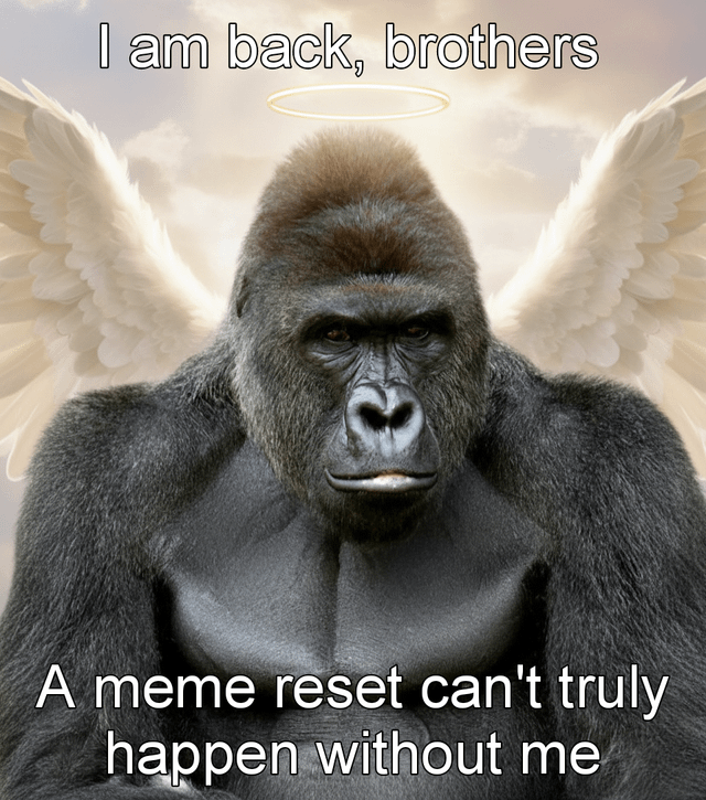 The image depicts a large gorilla with a serious expression, standing against a cloudy sky background. The gorilla is edited to have large, white angel wings and a golden halo above its head. Two text overlays are present: the top text reads 'I am back, brothers' and the bottom text states 'A meme reset can't truly happen without me'. The combination of the gorilla's stern demeanor with celestial elements (wings, halo) creates a humorous and satirical effect, positioning the gorilla as a savior figure for meme culture.