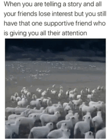 The meme features a text caption at the top followed by a monochromatic photograph of a large flock of white sheep. The caption reads: 'When you are telling a story and all your friends lose interest but you still have that one supportive friend who is giving you all their attention'. In the photograph, almost all of the sheep are facing away from the viewer, while a small number of sheep are facing directly forward, acting as a visual metaphor for the single attentive supportive friend among a group of uninterested people. The joke is relatable to anyone who has experienced feeling ignored by most of their social group while one friend remains engaged with what they are saying.